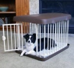 Кога се налага кучето да стои в клетка?