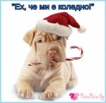 "Ех, че ми е коледно!"