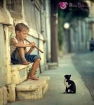 Концерт за един почитател