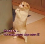 Молба в понеделник сутрин