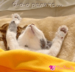 "О-о-о релакс"