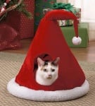 "Получих най-хубавия коледен подарък"