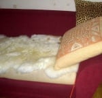 Котка спи на леглото