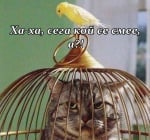 "Аз нали ти казах, че ще ти го върна"