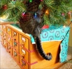 Котка в коледна елха