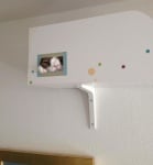 Котката без носова кост