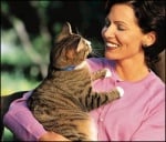 Котките помагат при самота