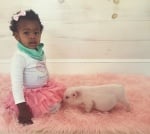 Красиви създания в розово