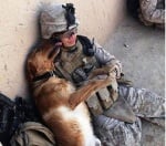 Куче целува войник