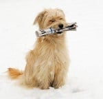 "Имате поща"