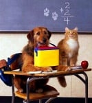 Първият учебен ден