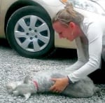 Куче припадна от вълнение, когато видя стопанката си след 2 години раздяла