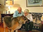 Куче спасява възрастна двойка