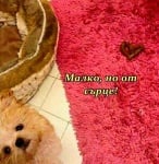 И посланието е ...