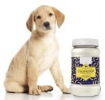 Кучета кокосово  масло