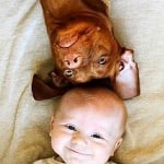 Кучета с бебета, легнали по гръб