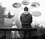 Кучето винаги е щастливо с това, което има!