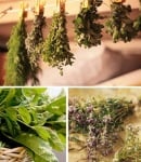 Събиране, сушене на билките и съхраняване на дрогите, получени от тях