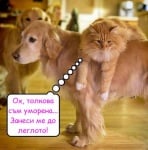 Лесно е като има кой да те носи на гръб!