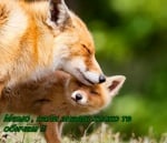 Всеки може да изпитва чувството ЛЮБОВ, независимо от вида си