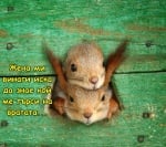 Любопитковци