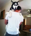 Майк гушка Рокси