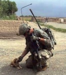 Малко кученце и войник