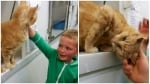 Малко момченце не можа да повярва, че е намерило изгубената си котка