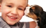 Малко момченце с малък бийгъл, кученце за домашен любимец