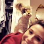 Моли и Уоли