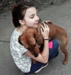 Момиче дарител за кучета Плевен