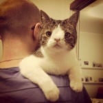 Монти с нови стопани