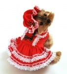 Сладката червена шапчица