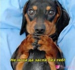 "Моля те, легни до мен!"