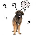 Неверни слухове в интернет