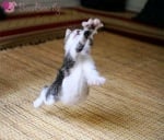 В невидимия плувен басейн