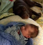 Обгрижване на бебето