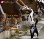 Общуването е безценен дар!