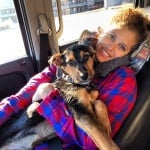 Осиновено голямо куче от Сочи