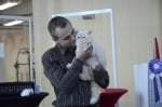 Победители в конкурса за редки породи котки в Paradise Center