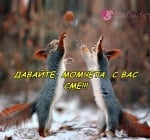 Подкрепа за Националния отбор по волейбол на България