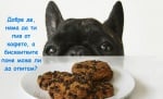 Поглед, придружаващ всяка закуска