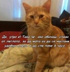 Познато нареждане за Добро Утро