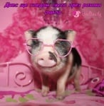 Светът е прекрасен!