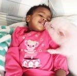 Прасенцето и Либи