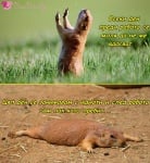 Преди и след работен ден