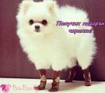 Прекрасен подарък