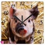 "И да не забравите да смените времето тази нощ!"