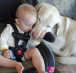 Приятели завинаги