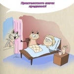 Приятелството - преданост